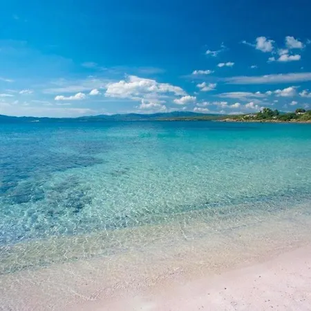 Apartment Marianna Olbia