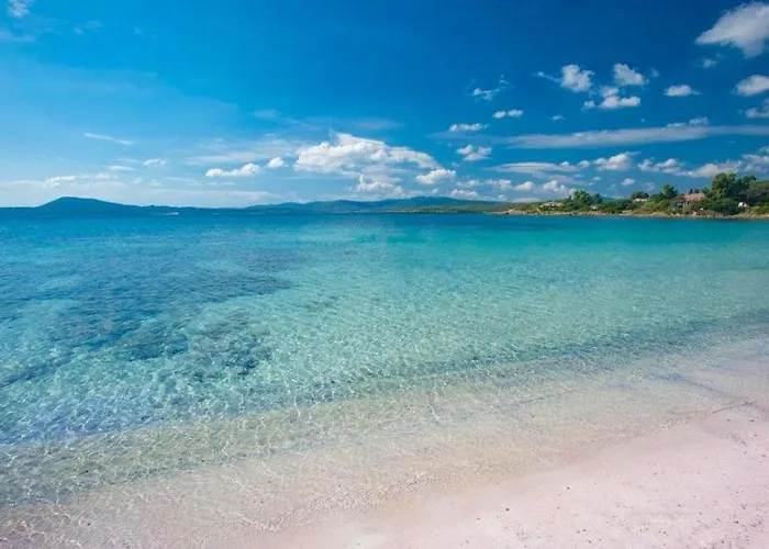 Apartment Marianna Olbia